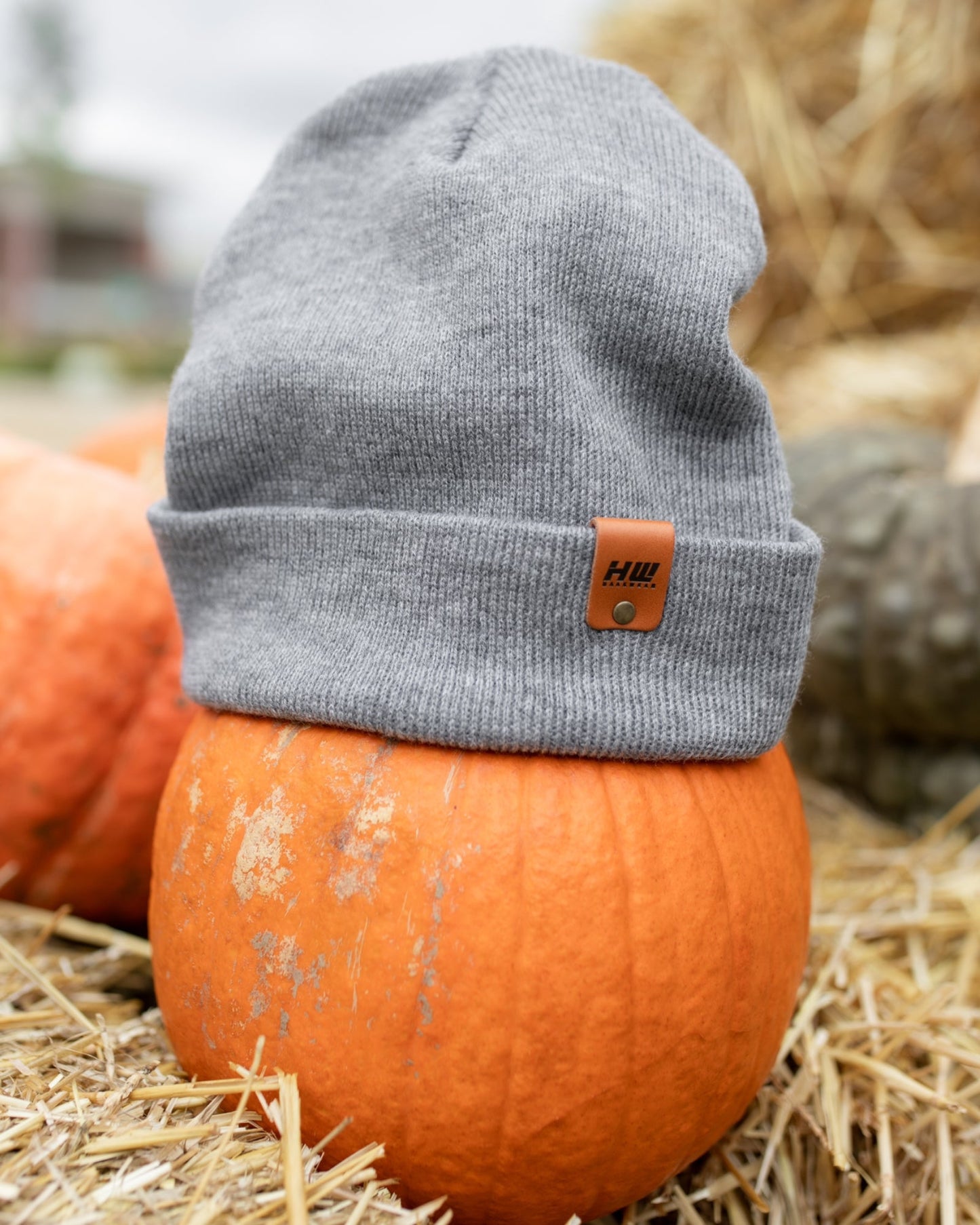 HAAKWEAR Koala Gray Knit Cuffed Beanie