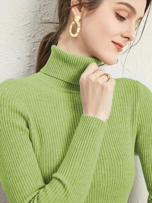 Women's New Turtleneck Jumper Knitted Blouses Fashion Ladies Sweaters